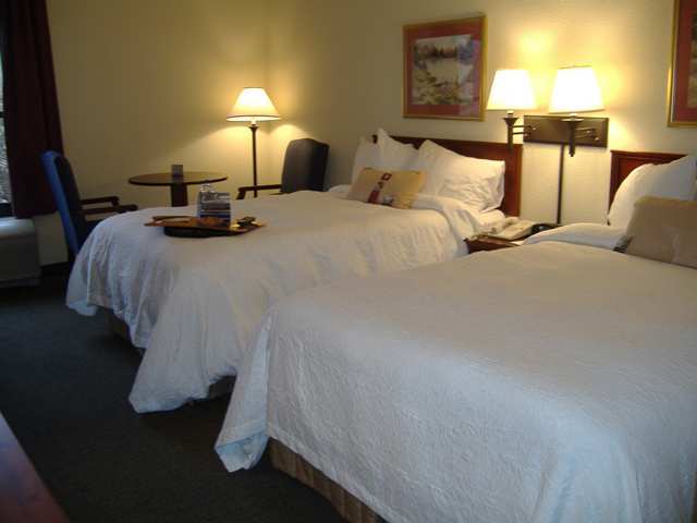 Wyndham Garden Greenville / Spartanburg Airport Pokój zdjęcie